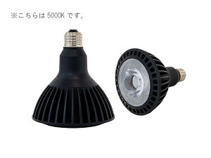 Z CERAPHIC ̓d 5000K(F)