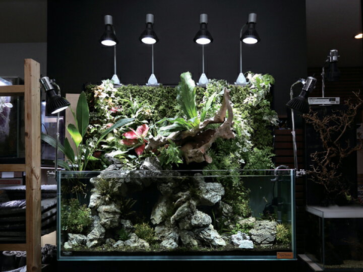 楽天市場】京セラ CERAPHIC いきもの電球 6500K(昼光色) : アクア  