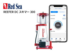 y񂹁zRed Sea Reefer DCXL}[300 (Rg[[ʔ)