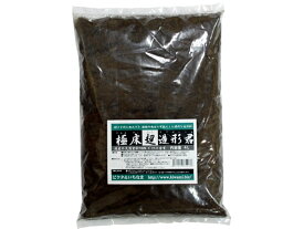 楽天市場 造形君の通販