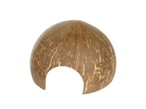 Leaf Corporation@RRibc̉BƃVF^[ dグ n[tJbg