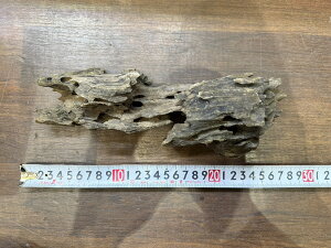 X^btZNg Cave wood PCuEbh No.1