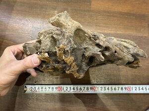 X^btZNg Cave wood PCuEbh No.3