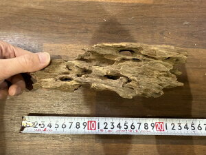 X^btZNg Cave wood PCuEbh No.4