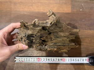 X^btZNg Cave wood PCuEbh No.5