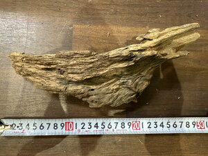 X^btZNg Cave wood PCuEbh No.10