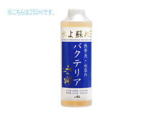 ANVY MыẼoNeA 250ml