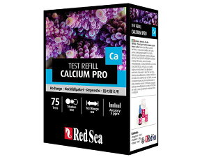 Red Sea JVEveXgLbgp lߑւp ([teXgLbg JVEv)