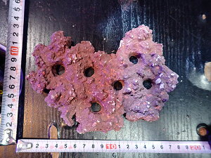 Fragpv[g JS Frag Rock No.23