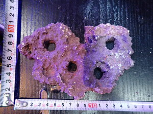 Fragpv[g JS Frag Rock No.25