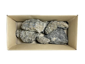 yzRichard Stone `[hXg[ TCYMIX 8kg