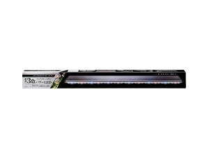 WFbNX NALED p[3 900