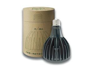 y񂹁z[XC EverSun365 24W