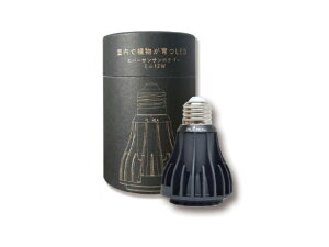 y񂹁z[XC EverSun365mini 12W ubN