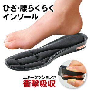 C\[ Ռz fB[XyGA[tBbgC\[zC ~ ᔽ NbV [։i1_̂݁j