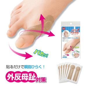 O T|[^[e[vyȒP\邾 OT|[ge[vz T|[^[ e[sO [։