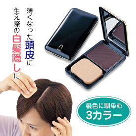 楽天市場 薄毛隠し ファンデの通販