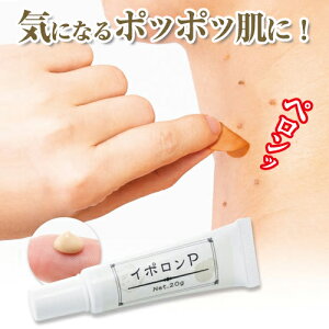 yC| PzC{   񂢂   Vl N[ pbN [։