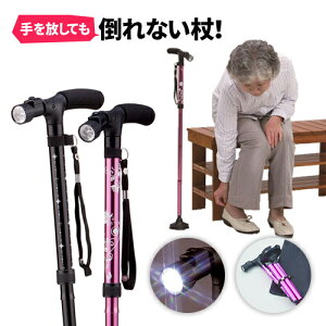  XebL ܂肽 4_yLEDCgt4_XebL WALK SUPPORTz 4_ Lk y  hV̓ ̓ ̓ v[g