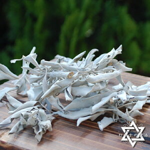 zCgZ[W 򉻗p v~A zCgZ[W@NX^[20g(RS)[Zhi̖@]