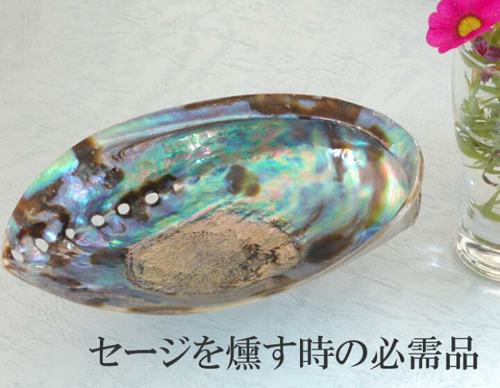 楽天市場】アバロンシェル（皿のみ） ホワイトセージ浄化の必須 