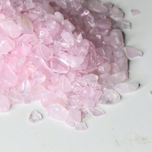 [YNH[c@@y100gz2024NxŁ@Ȃ/VR΁^/`bvX[Zhi̖@]