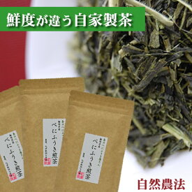 自然農法のべにふうき茶 緑茶（煎茶）100g x 3袋　一番茶最終出荷　　新茶　一番茶 花粉の季節のお茶　おいしい春野産のべにふうき 春のべにふうき屋さん／自然農法　オーガニック 無農薬/動物性肥料不使用/【楽天出荷】［アクアヴィーナス］