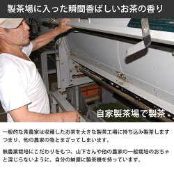 【uncensored】今すぐ対策◆べにふうき茶緑茶(煎茶)3袋有機無農薬のべにふうき煎茶、国産べにふうき緑茶、静岡県産べにふうき煎茶(緑茶)べにふうき緑茶べにふうき煎茶BenifukiGreenTeaforhayfever(日本茶)無農薬栽培一筋