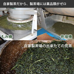 【uncensored】今すぐ対策◆べにふうき茶緑茶(煎茶)3袋有機無農薬のべにふうき煎茶、国産べにふうき緑茶、静岡県産べにふうき煎茶(緑茶)べにふうき緑茶べにふうき煎茶BenifukiGreenTeaforhayfever(日本茶)無農薬栽培一筋