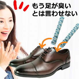 防カビ　消臭剤 結露のカビよけ　シューシュースティック　濡れたブーツ　長靴にも　めんどくさがりの防カビ除菌消臭剤　置くだけ入れるだけ エアコン、下駄箱の消臭スティック 2本セット　靴消臭 入れるだけ 二酸化塩素放出　［アクアヴィーナス］