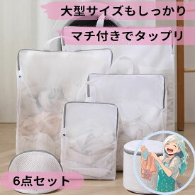 大物洗濯 取っ手付き　3Dランドリーネット兼ランドリーネットバッグ　マチ付きでたっぷり大容量　6点セット　　洗濯ネット　　脱衣所～洗濯機、物干し場まで楽々持ち運び　［アクアヴィーナス］【楽天出荷】
