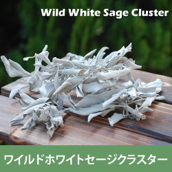 浄化用ホワイトセージクラスター20g(浄化用ホワイトセージ)