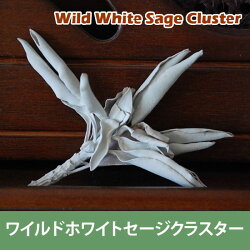 浄化用ホワイトセージクラスター20g(浄化用ホワイトセージ)