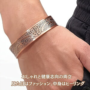 E̎CuXbg iAeB[NVo[jY fB[X SƑ̂𐮂q[OuXbgJtoO OhV Pgl [Zhi̖@]i2511j