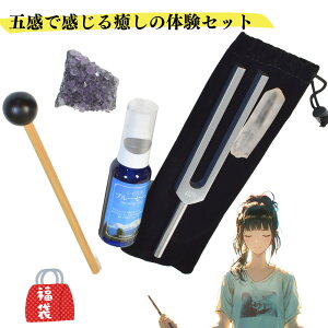 2025NŁ@R̗͂AN[[Vn[j[Zbg@\tFWIK`[i[@VX^̃zCgZ[W~Xg@AWXgNX^[ (2408)[Zhi̖@]