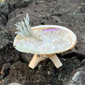 ySSzIWi ̏򉻃Zbg5_ZbgizCgAoVFARuAzCgZ[Wi_͔|j[t3gA΁A|CgjAp[Xg[[