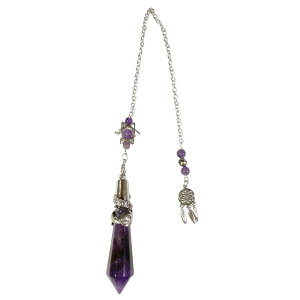 VR yf \ʗ Z䊐ƃh[Lb`[̃`[@Uq y_g _EWOp 肢p IWi {}jAt[Zhi̖@](2510 ēׁj