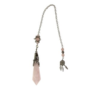 VR yf \ʗ Z䊐ƃh[Lb`[̃`[@Uq y_g _EWOp 肢p IWi {}jAt[Zhi̖@](2510 ēׁj