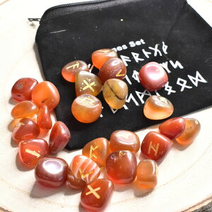 yAEgbgzJ[lÃ[Xg[ i[܂ꂽxxbg|[`j肢▂@ObYƂ