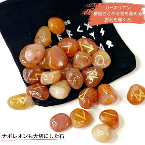 [Xg[iɎg{tjq} J[lAɍ񂾃[@^u^is`ARȏΌ^j 肢ObY@[肢Ch[Zhi̖@]