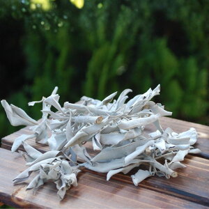 zCgZ[W@NX^[45gi򉻗p@zCgZ[Wj[Zhi̖@]