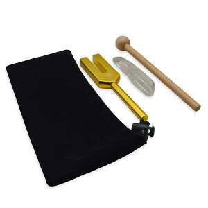 ̃NX^`[i[ 4096Hz }bgƑ܁A|CgƎg̐t `[jOtH[N  Xy[XNAO`[i[[Zhi̖@]i2510j