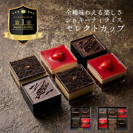 お中元 無添加 ティラミス カップ アソート ケーキ お取り寄せ スイーツ ギフト ティラミス専門店 Aquila シルキーティラミス セレクト 高級 誕生日 記念日 人気 おすすめ 洋菓子 コーヒー チョコ 内祝い お返し 手作り 冷凍 送料無料