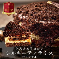 【とろける生ココア】 敬老の日 無添加 ティラミス ケーキ お取り寄せ スイーツ ギフト 誕生日ケーキ バ…