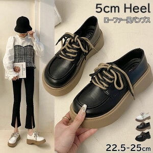 _SX5OFFN[|^V[Y [t@[ pvX ɂȂ 5CM EhgD ubN K[[ [XAbvV[Y  ₷ ₷  r H~  