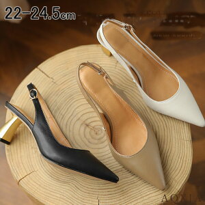 T_ pvX fB[X `L[q[ |CebhgD 5.5cm q[  傫TCY Cg`[gq[T_ ItBX 킢 ₷ Xgbv 