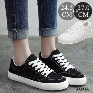 _X[p[SALE 11OFF+ P5{^Xj[J[ Y fB[X Eh̋Zp C V[Y ʋ ʊw EH[LOV[Y oRC gbLOV[Y oR AEghA Lv ނ