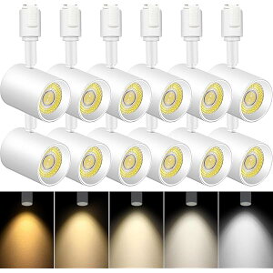 5F _Ng[pX|bgCg, LEĎ^Ɩ 10W(85W`), 邢 [Cg, FCRI90+ 2700K-6000K 800lm, Lb`/Vbvp V[OX|bgCg, zCg, 12Zbg