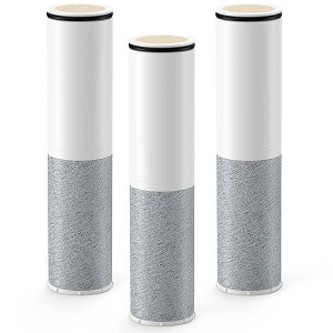 �y���������z�O�H SFC0002T �p �J�[�g���b�W �� BSC05003 �N�����X�C�Ή��̃J�[�g���b�W SFC0002TTS ZSRJT002R12BC FP1025 PZ871-3 �����i �����p sfc0002 �݊��J�[�g���b�W �X�p�E�g�C��