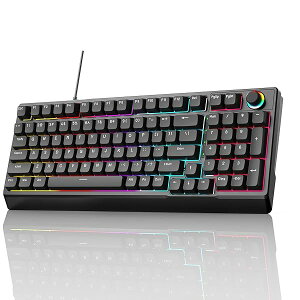 yzQ[~OL[{[h Ԏ 98 L[ JjJ LED obNCgt [h USB Q[~O[{[hL  L[t ʒmu ItBX/Q[~O R